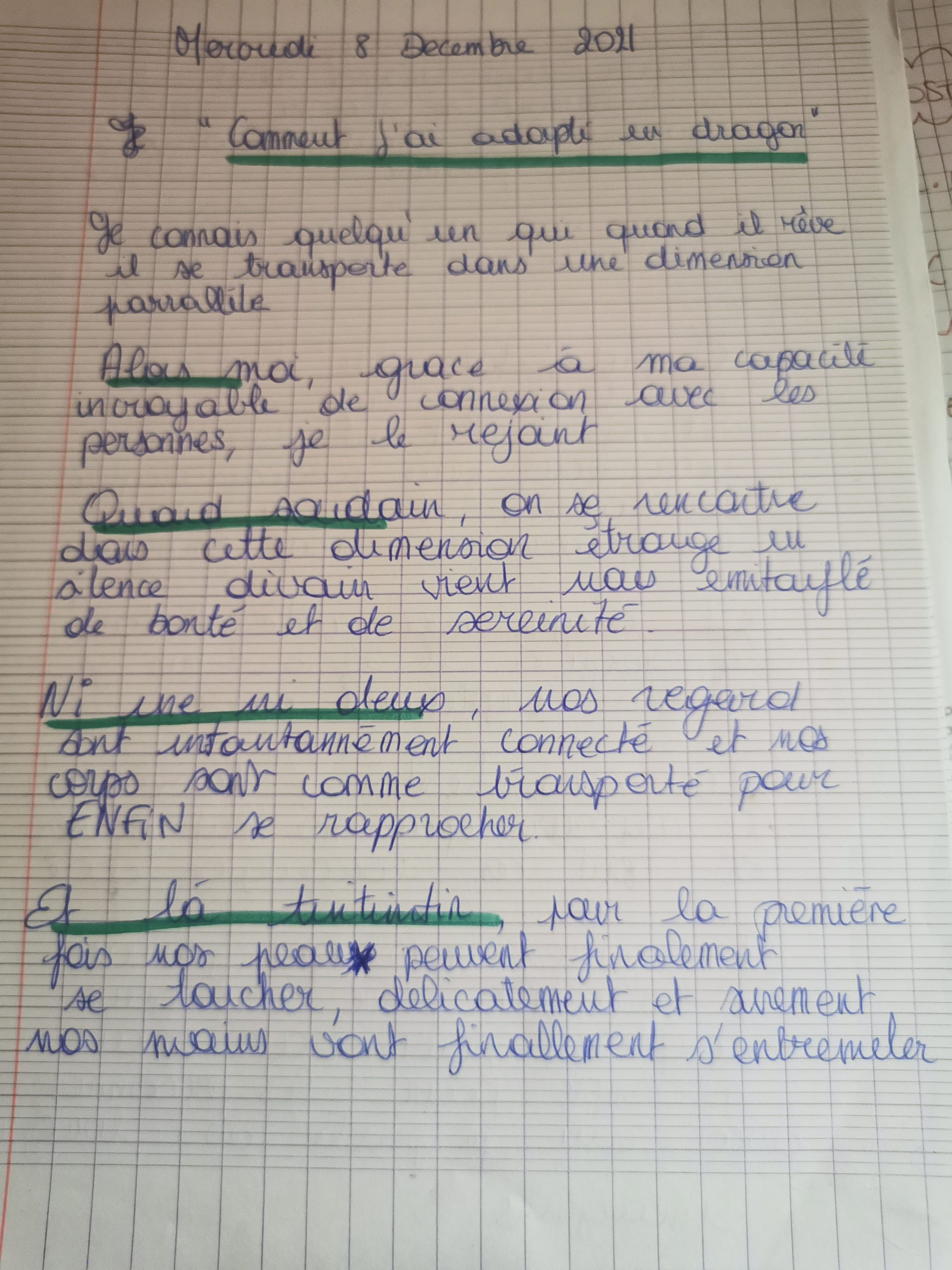 Comment j&rsquo;ai adopté un dragon